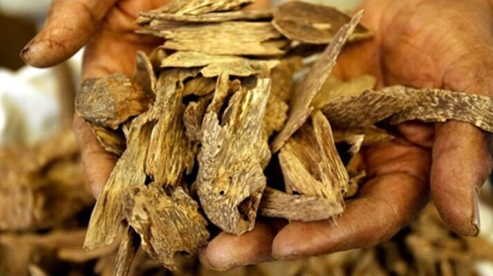 the price of Chinese agarwood depend on what factors