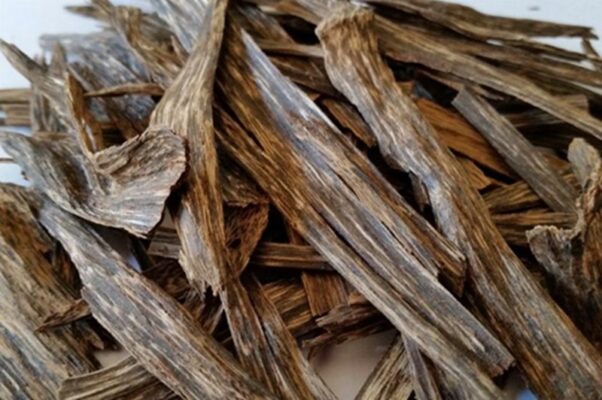 Chinese agarwood
