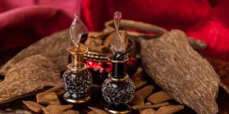 Hướng dẫn cách sử dụng Tinh dầu trầm hương Charme đạt hiệu quả cao