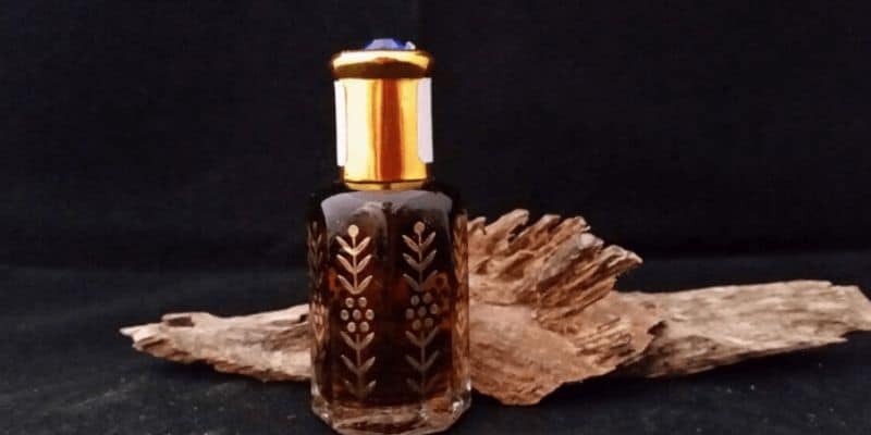 Khoan dầu trầm hương - loại hương trời tích tụ