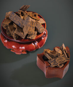 Oud muhasan Mus03 , Zawaya , عود الزوايا