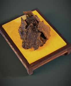 Oud muhasan Mus Char