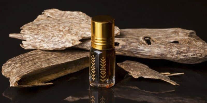 Frankincense essential oil is relentlessly hunted for despite its not being inexpensive.