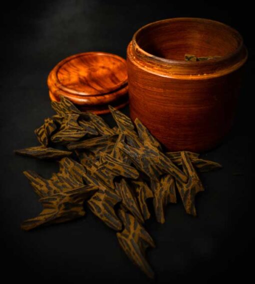 mus02 Hổ Trầm Hương - Agarwood tiger